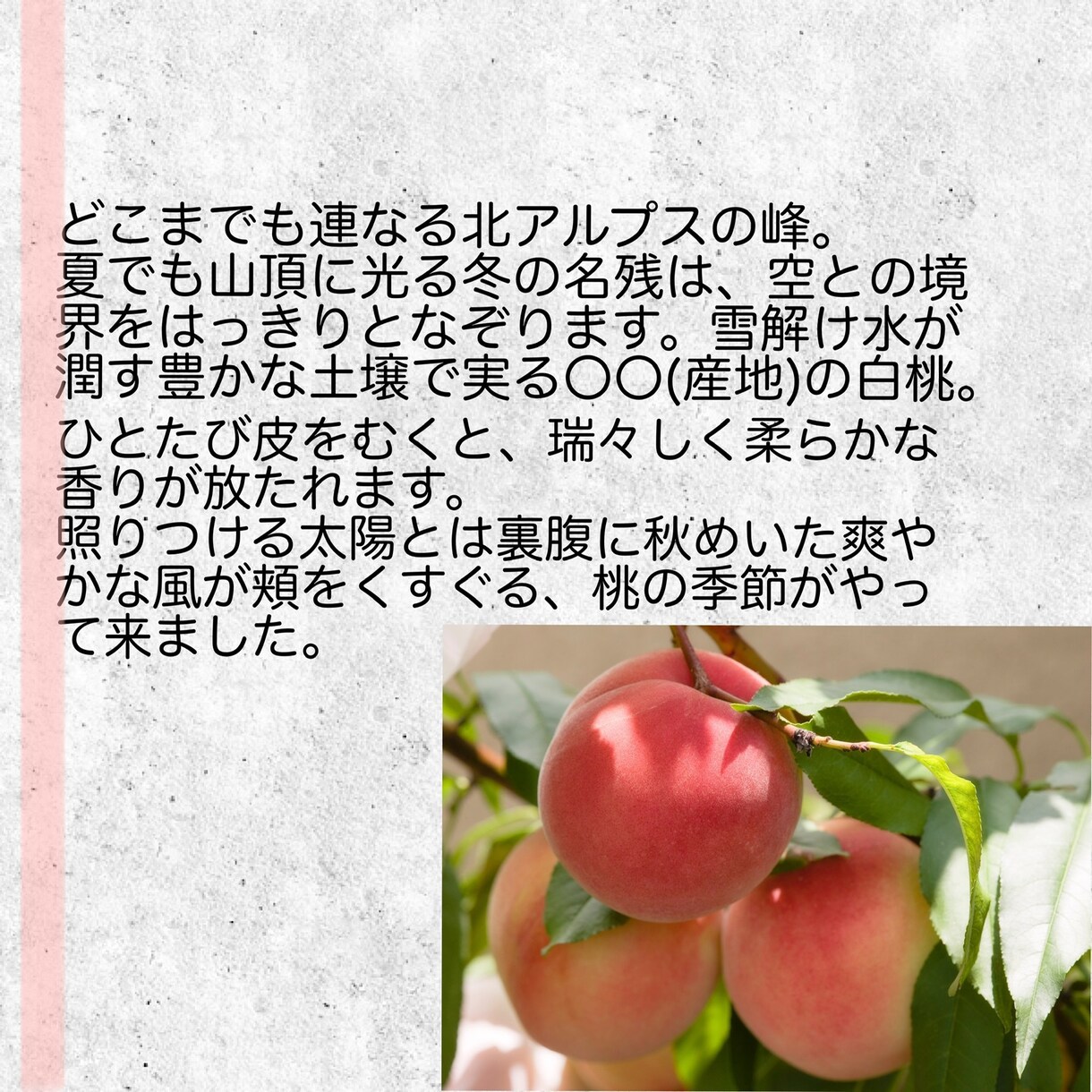 こだわりや強みを情緒的に。商品説明作ります ／物語の一節のように、魅力を表現 イメージ2
