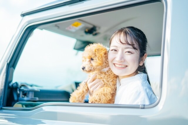 ペットロスについて、一緒に向き合い、寄り添います 最愛の愛犬、愛猫がお空へ旅立ったとき、ひとりで抱えないで イメージ1