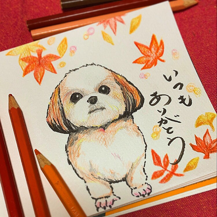 お祝い行事のイラストデザインをご提供致します 贈りたい相手の雰囲気にあったものをご提案します イメージ6