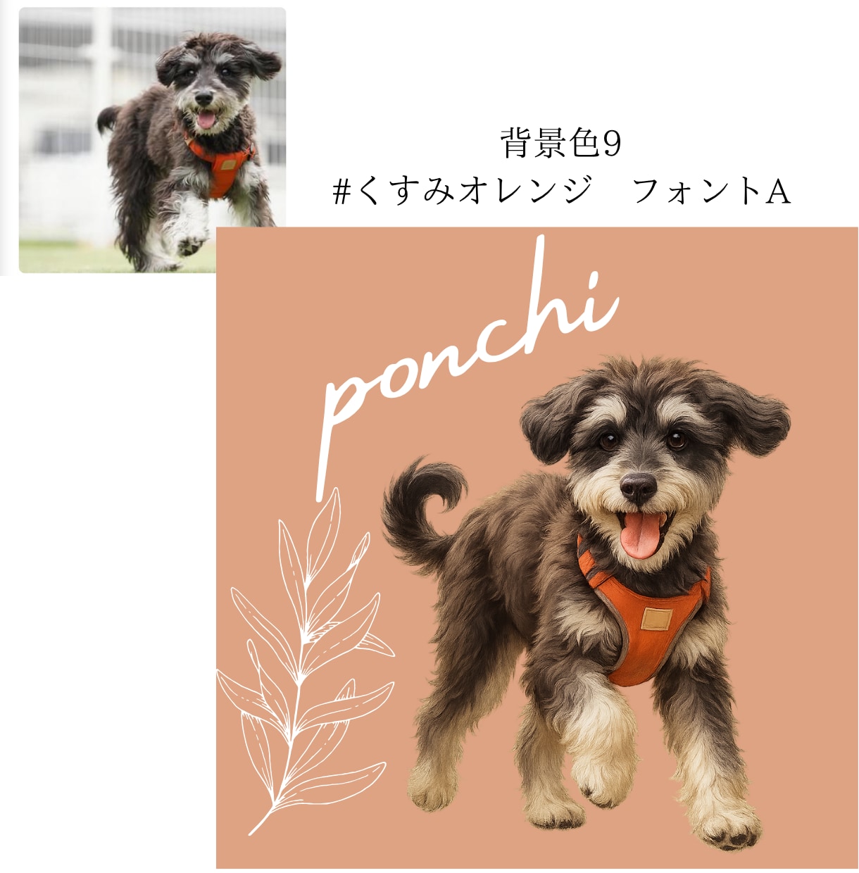 うちの子（ペット）を世界で1つだけのアートにします 選べる背景色15パターン！大切な家族をイラストにませんか？ イメージ3