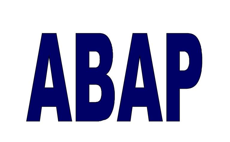 ABAP開発の相談に乗ります 近くにスペシャリストがいない時、技術面の相談が必要な時に イメージ1
