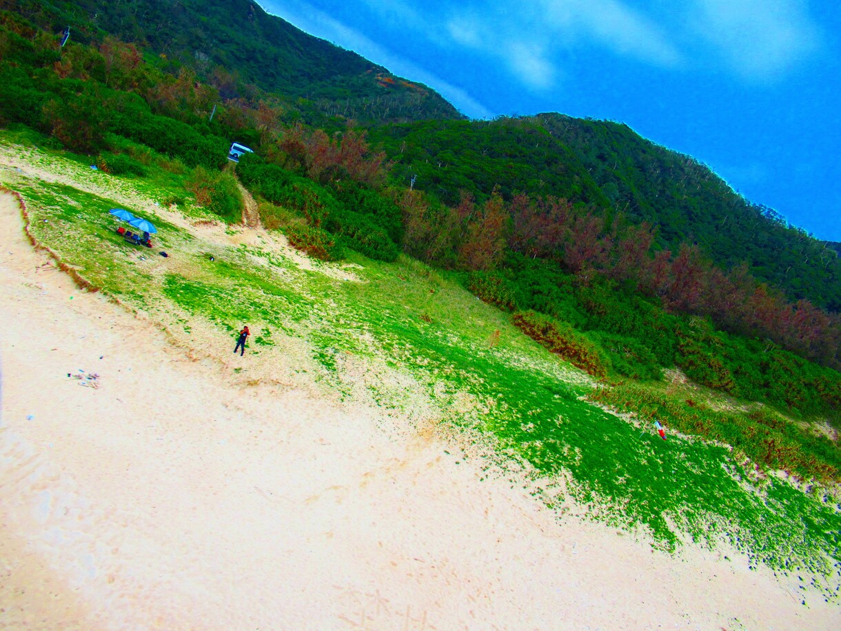 自然の写真を提供します 自然の魅力を発信し、自然環境に多くの人が目を向けて欲しいです イメージ2