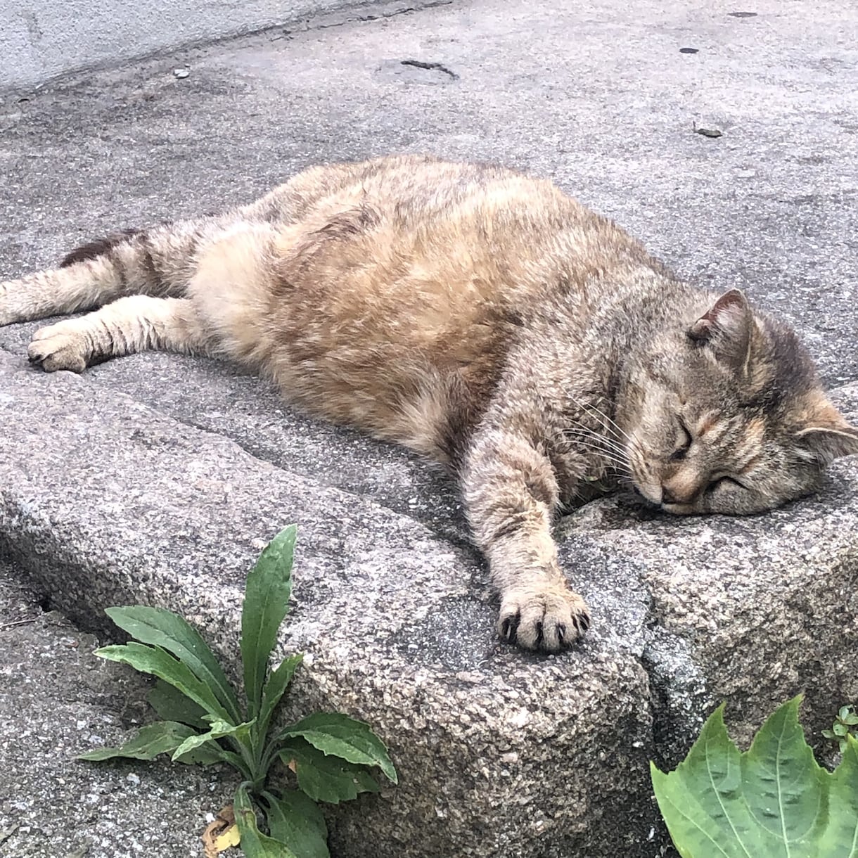 日頃の愚痴・お悩み聞きします ゆったりした広島弁の女ですなんでもお聞きします♪ イメージ1