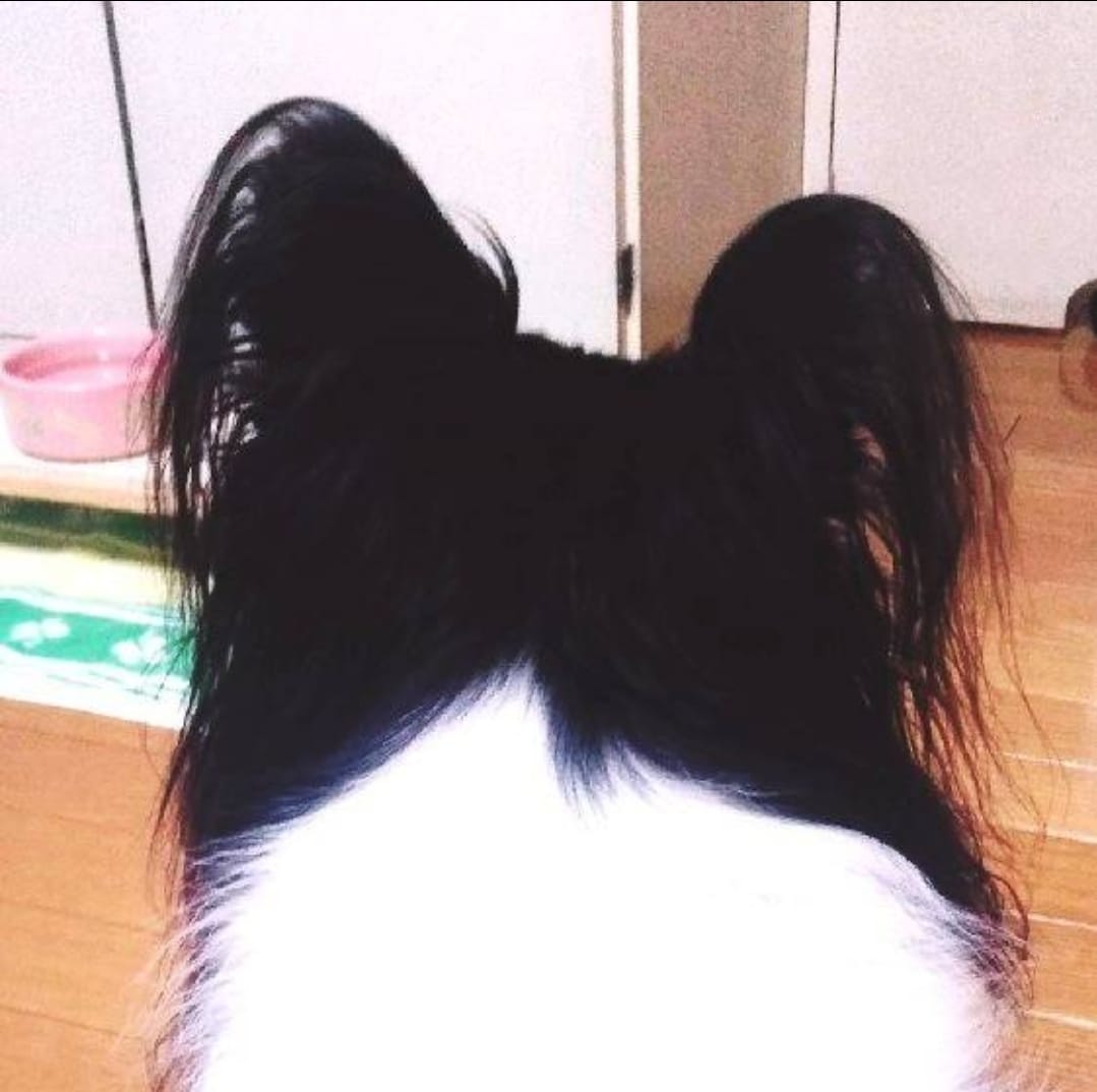 なんでも話せる、心友になります 気軽な気分転換に✨️ 雑談したり・愚痴ったり・相談したり☘️ イメージ2