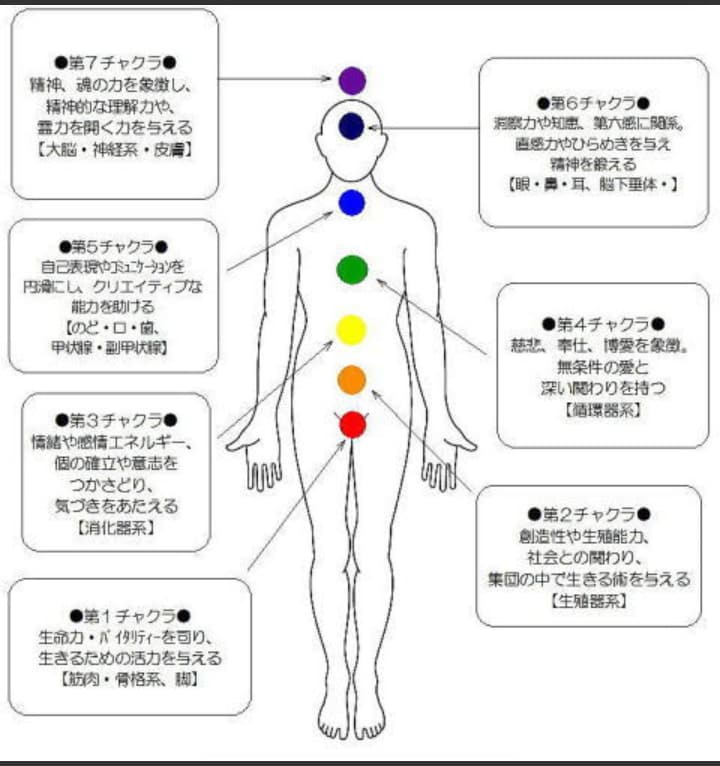 アニマルヒーリングをします 猫犬鳥うさぎなど、チャクラチェックしお知らせします イメージ4