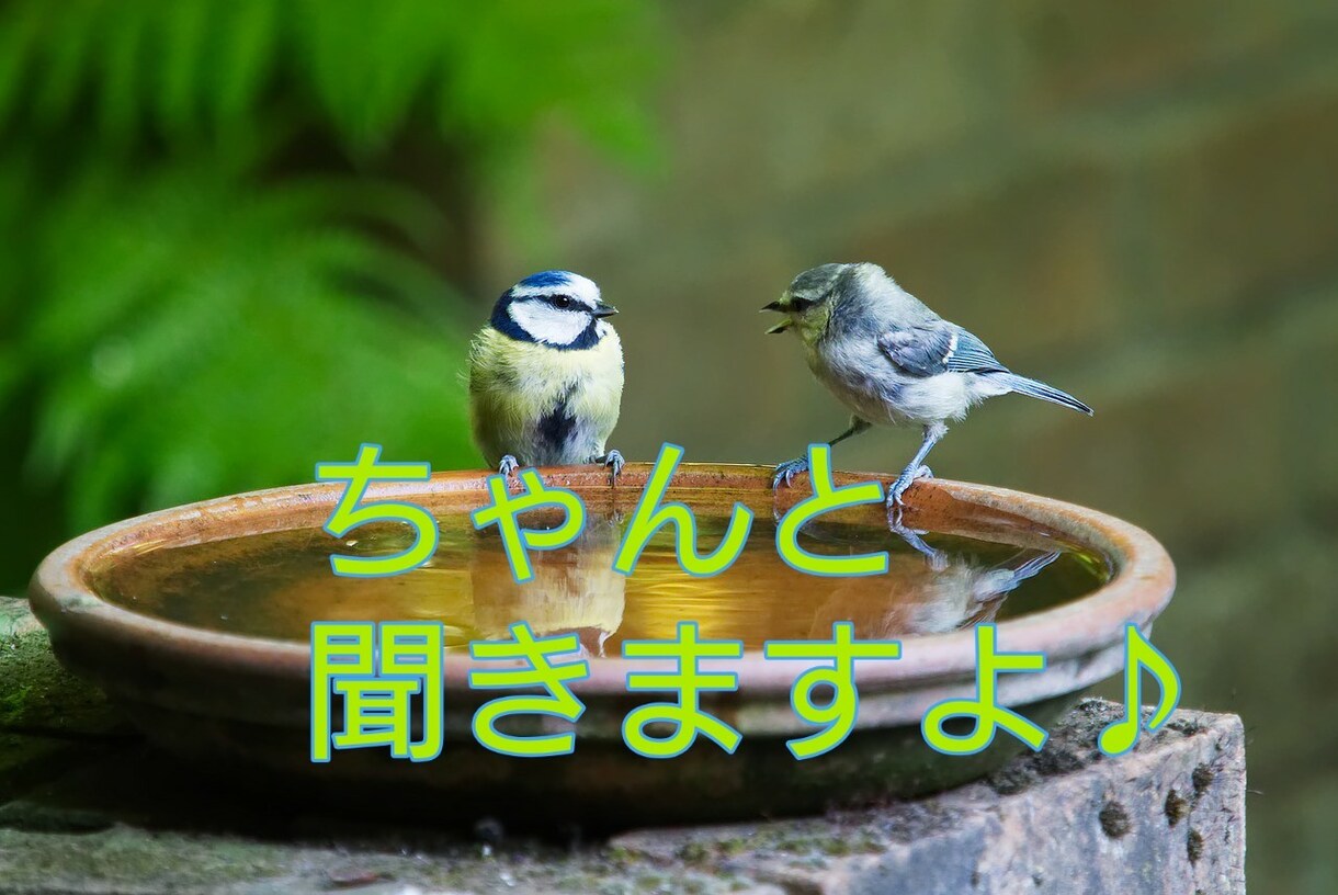 普段言えない悩みやグチ、ちゃんとお聞きします 話す事で楽になる事も有りますよね？ まずは吐き出してみて。 イメージ1