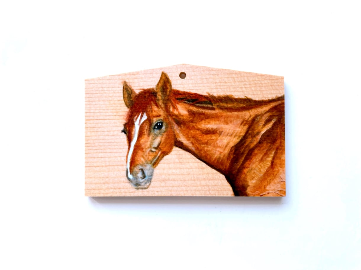 オーダーメイドの絵馬を制作いたします 大切な人やペットの幸せを願って、願いが叶う絵馬を飾ろう★ イメージ4