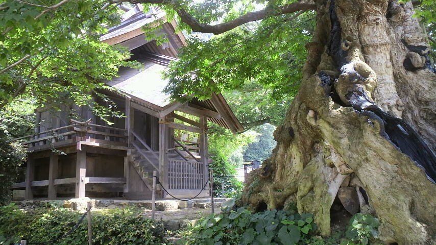 タロットであなたを占います 北から南まで神社仏閣お参りさせて頂いてます イメージ2