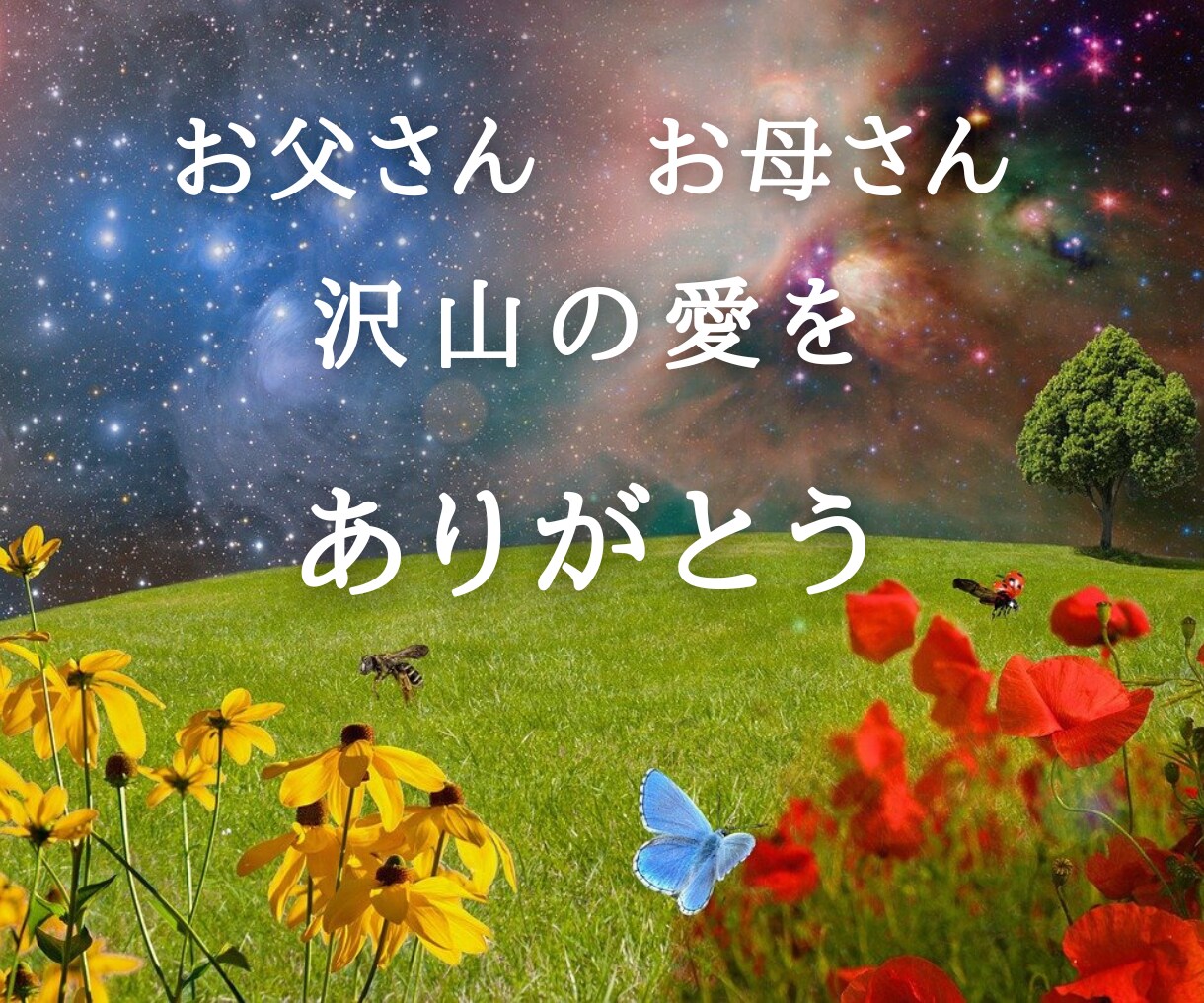 チャネリング・カードで親子関係　鑑定します 実績600名！あなたはとても優しい方ですね♪ イメージ6