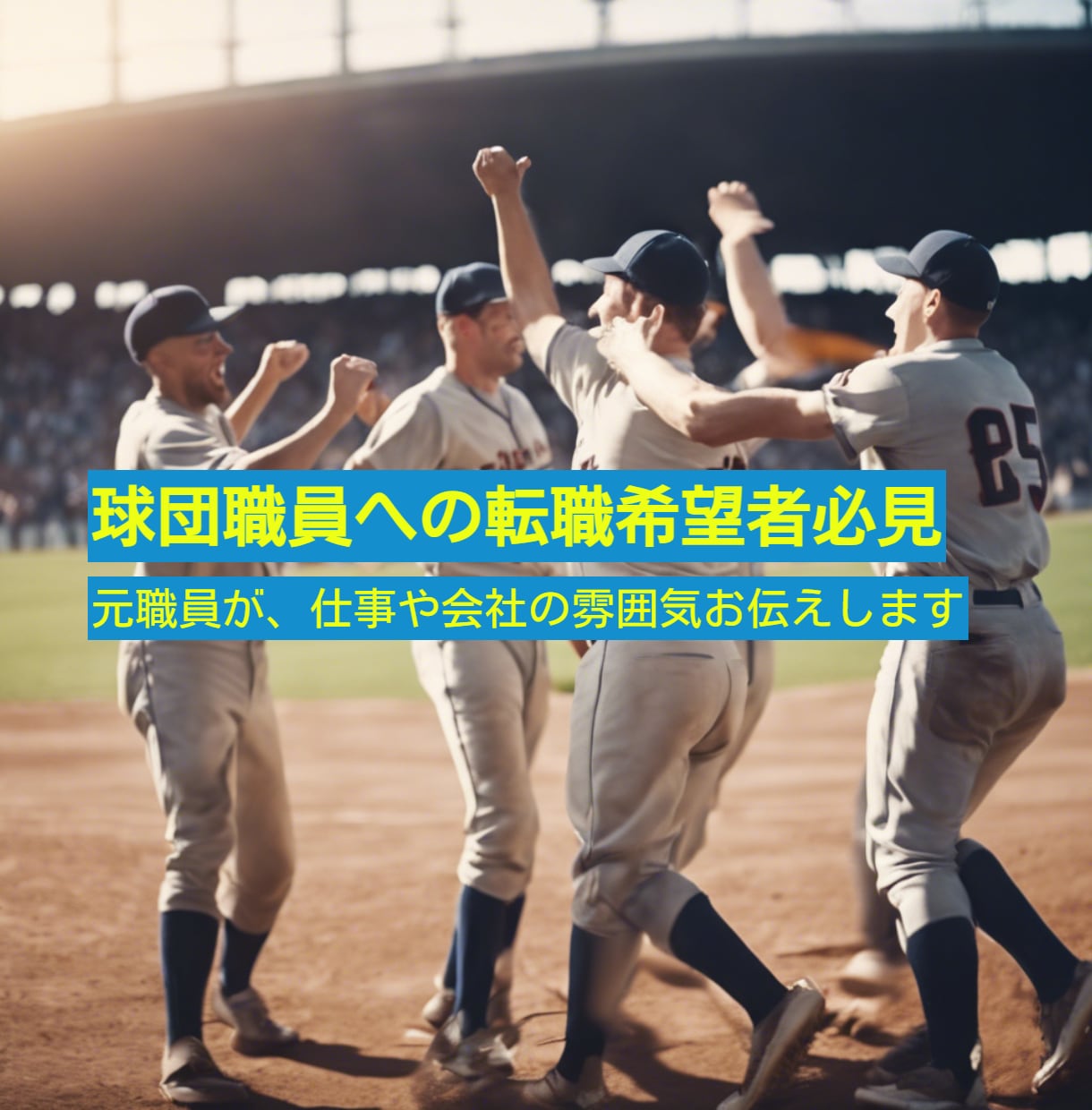 球団職員へ転職希望者必見！元職員がアドバイスします 元職員が、お仕事や会社の雰囲気をお伝えします。 イメージ1