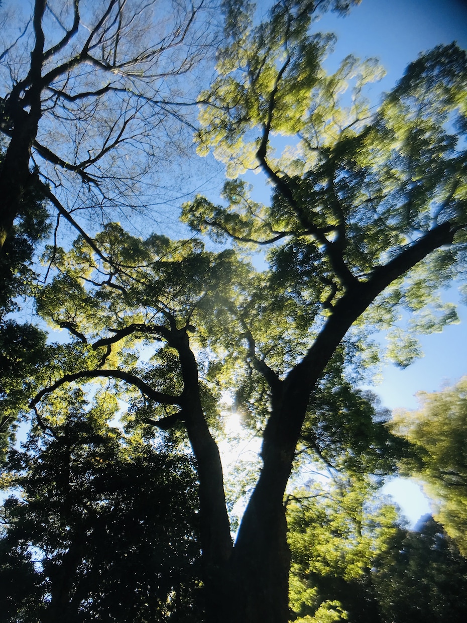 ご自身での納得（合点）を導きます 占う、占いを踏まえてのご相談、導きだすお手伝いも良しです。 イメージ1