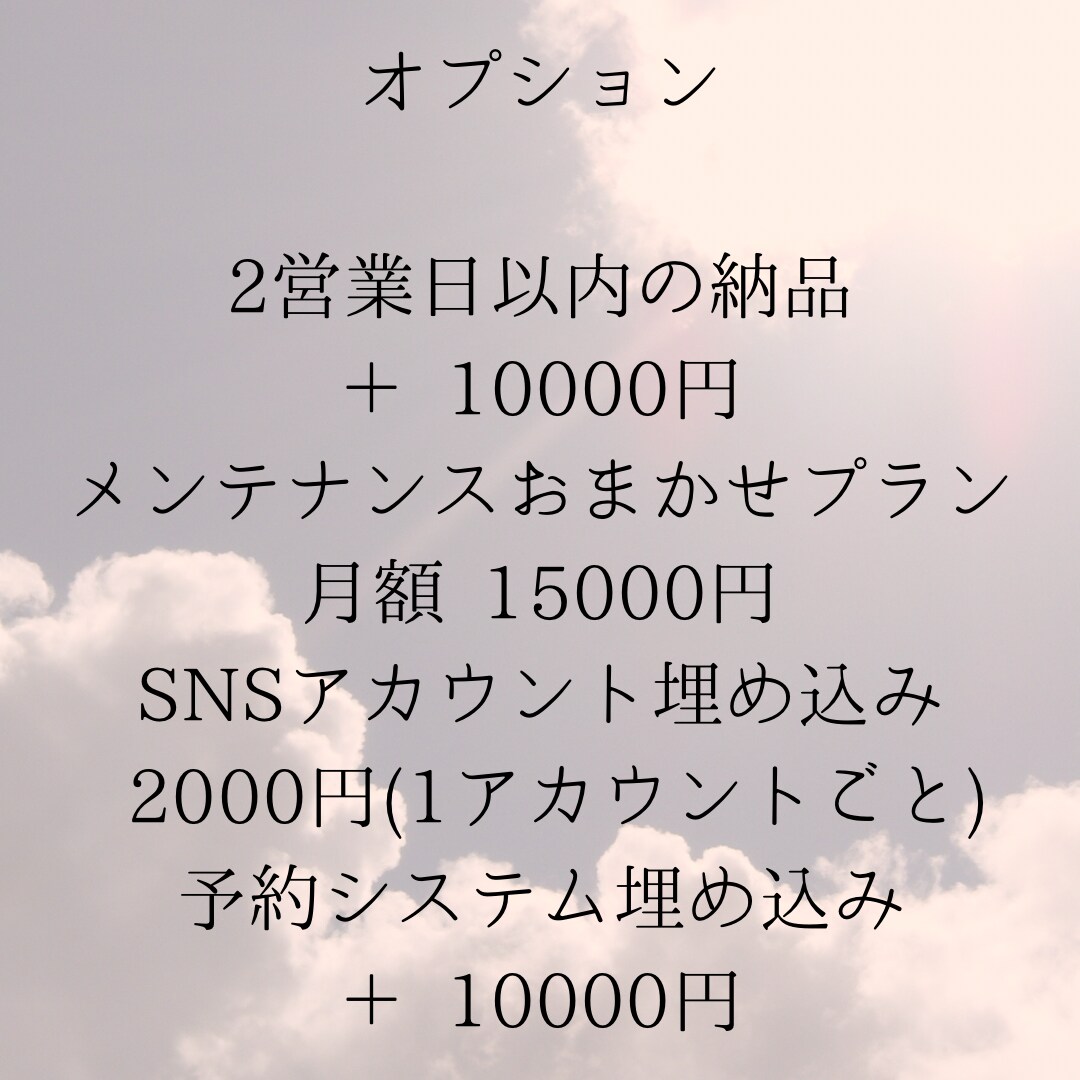 期間限定価格特化でございます オリジナルHP作成3営業日以内の納品可能です！ イメージ3