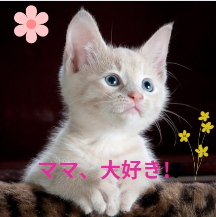 ペットのお気持ち、霊感・霊視リーディングします 先に逝った子のお気持ちチャネリング・病気のこの子ヒーリング！ イメージ1