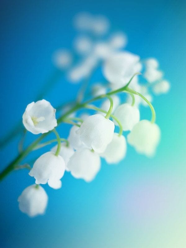 優しく癒やされたい方、ゆったりまったり癒やします ・いつも頑張ってるあなた。私がヨシヨシしてあげるね♡ イメージ2