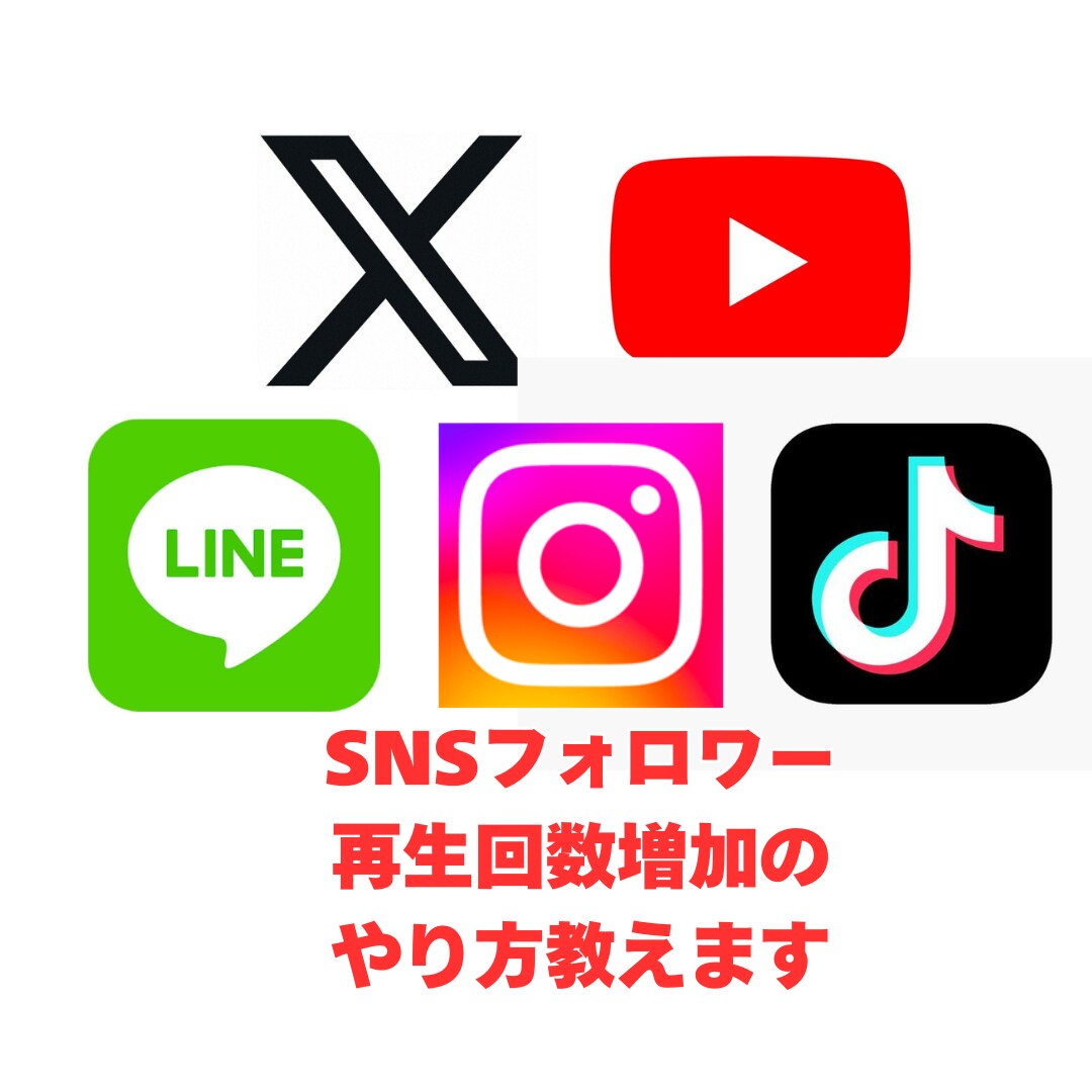 SNSフォロワー、再生回数の増加の仕方教えます ご自身、サービスを必要とされている方にも喜ばれます イメージ1