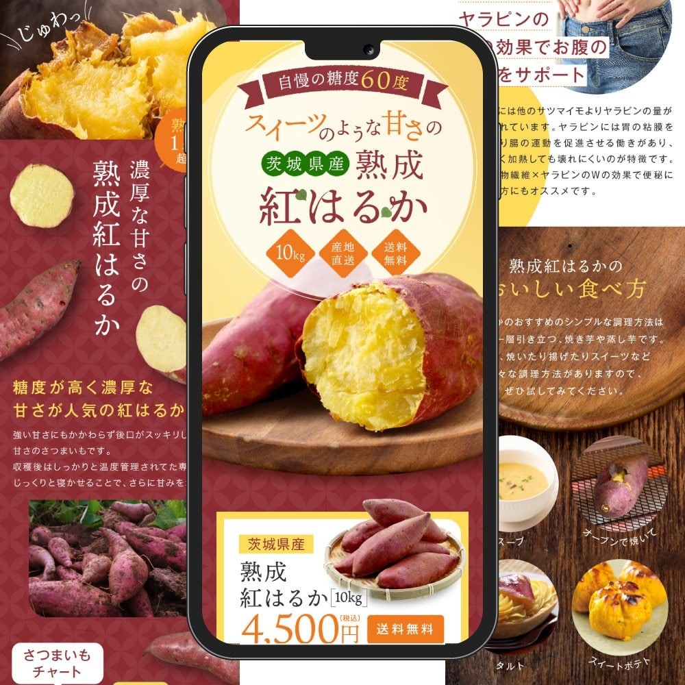 LPのデザインを忠実に再現｜コーディング代行します LPのHTML・CSS・アニメーション実装おまかせください イメージ7