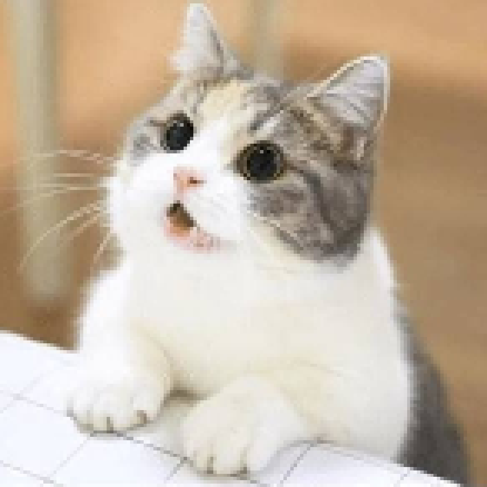 プロの鑑定士があなたの為に伝えます 占術をして必要であれば貴方の為に念じます。 イメージ2