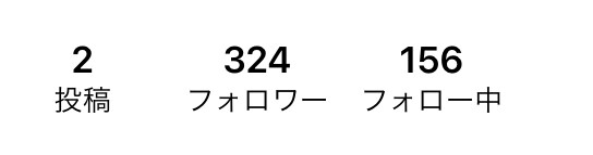 Instagramのフォロワーを500人増やします フォロワーを増やすために宣伝します イメージ1