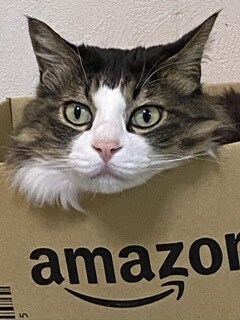 老若男女問わずお話聞きます お悩み話し相手なんでも屋さん！ イメージ2