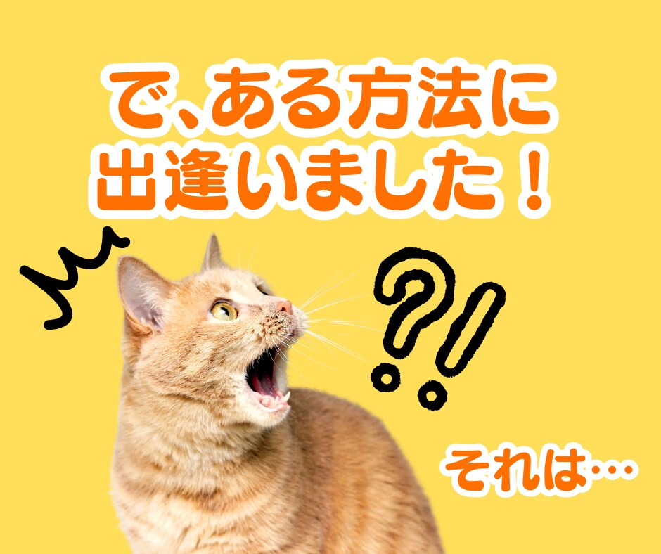 理想の結婚が叶う❤マインドセットお手伝いします あきらめて、ひたすら婚活してませんか？ イメージ7