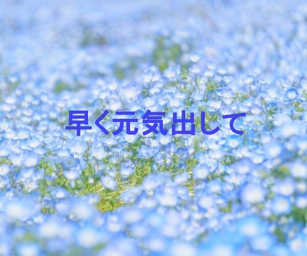 DV、モラハラに苦しんでるあなたの気持ち受止めます 一人っきりで耐えないで、私と一緒に乗り越えませんか？ イメージ10
