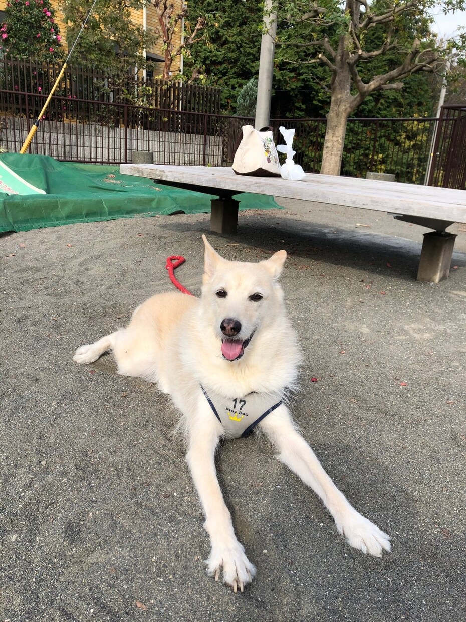 周りには話しずらい悩みや愚痴なんでも伺います 誰かに聞いて貰うだけでいい方もお話聴かせてください イメージ3