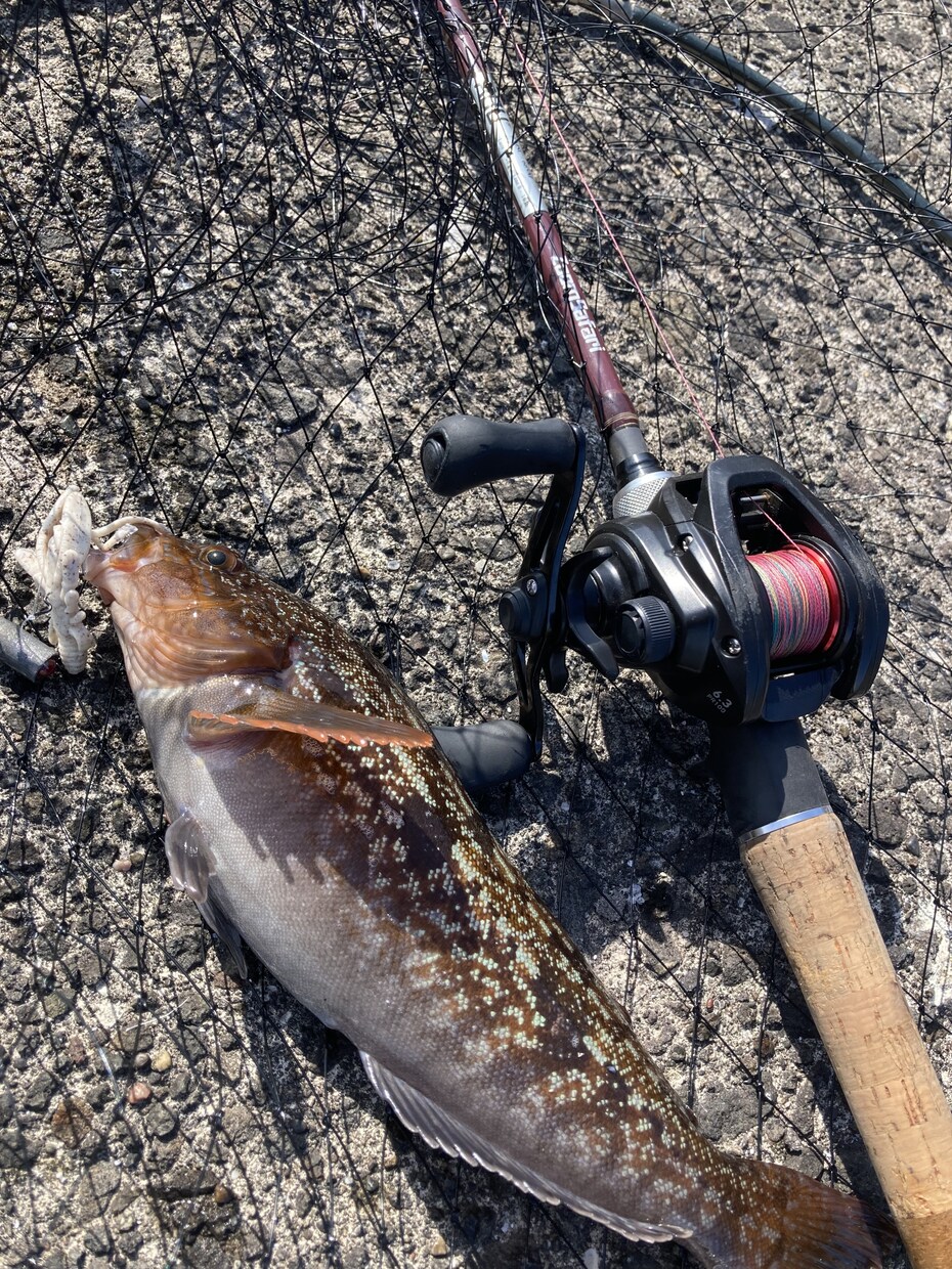 釣りウェブライターが魚釣り関係の記事の執筆をします 魚釣りの知識や技術を出し惜しみなく執筆致します！ イメージ2
