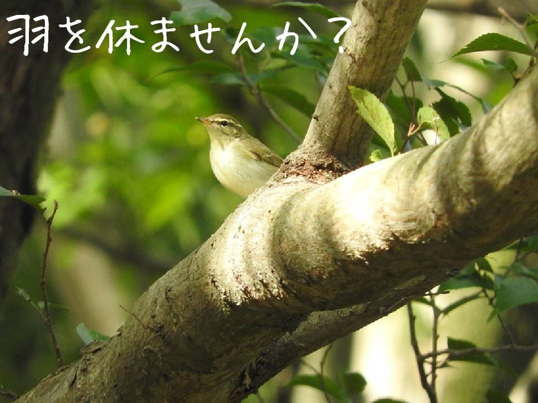 友達、彼氏、旦那、上司部下への愚痴、悩み聞きます 言いたくても言えないそんなモヤモヤ出しちゃいましょう イメージ2