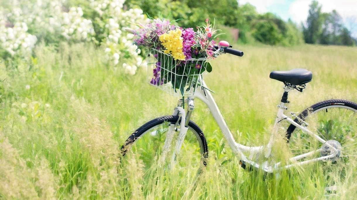 こんな私でいいですか?にこたえます どんなあなたでも受け止めて、自己肯定感を育てるサポートします イメージ1