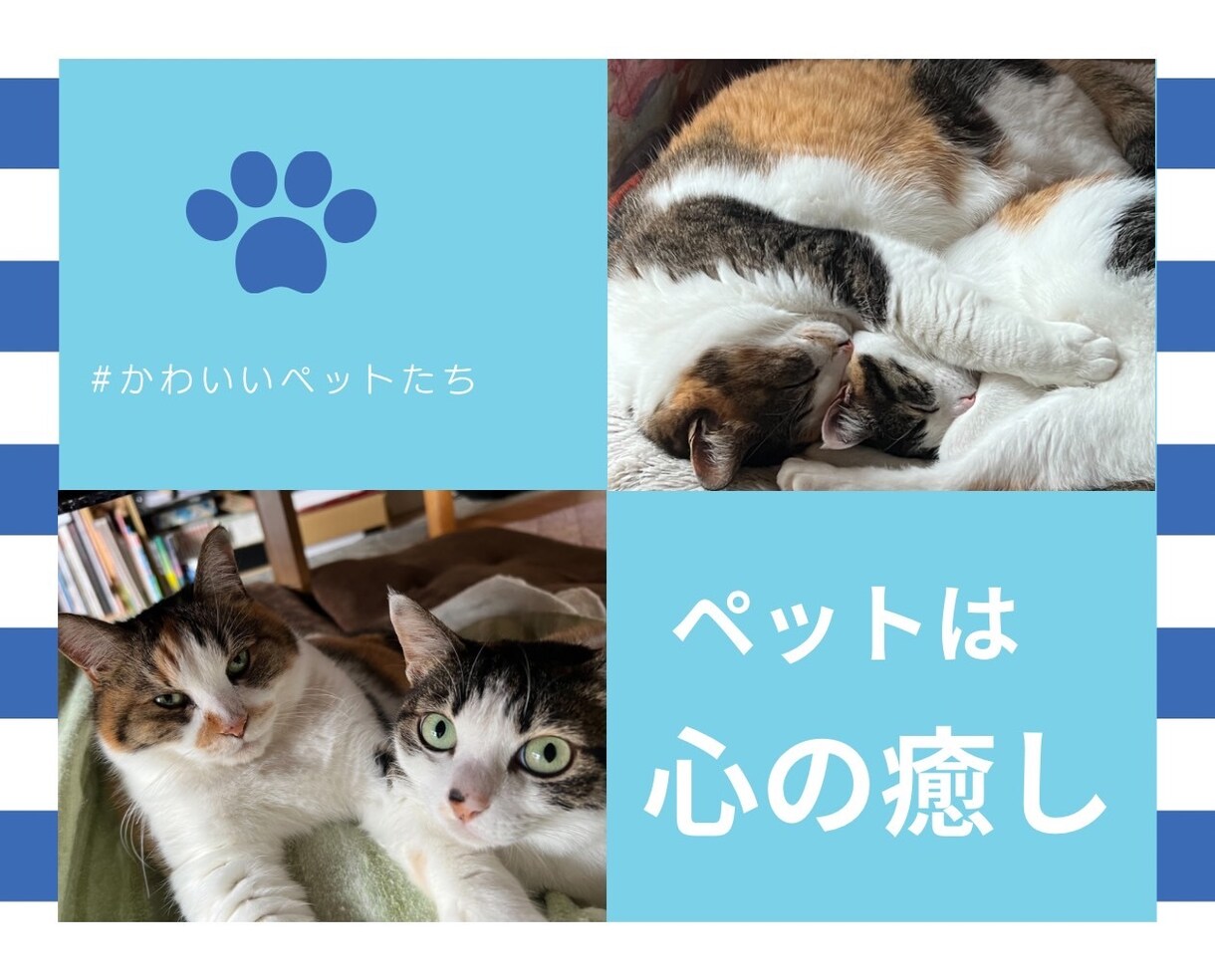 あなたが心から愛している大切なペットとお話しします 何を考えているの？もう一度話したい。ペットの気持ちを教えます イメージ8