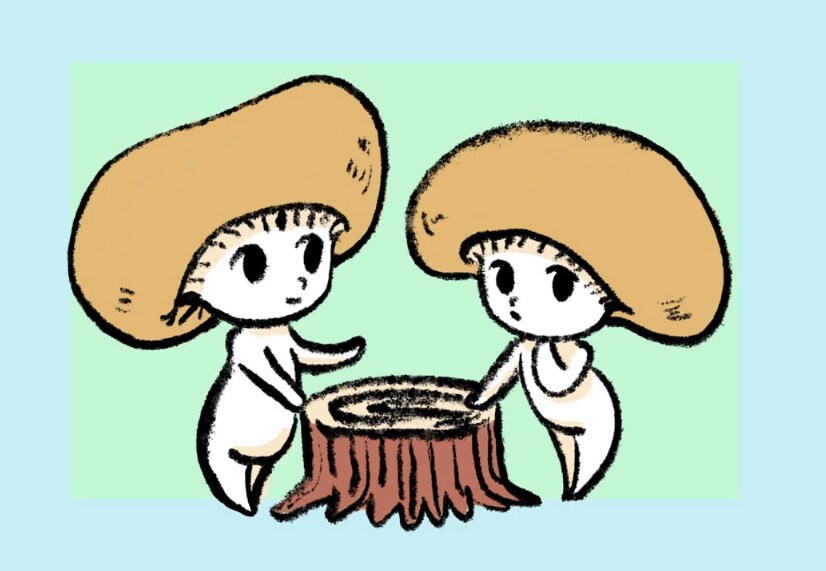 人物画：かわいいキャライラスト描きます イラストで冒険！あなたの世界を一緒にかわいく召喚します。 イメージ3