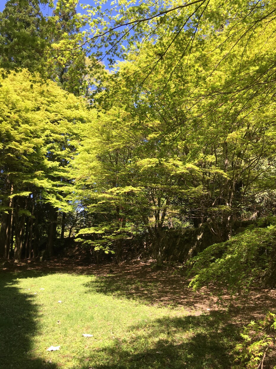 あなたの苦しみや悩みをお聞きします 真の傾聴により【大丈夫な自分作り】を支援いたします。 イメージ3