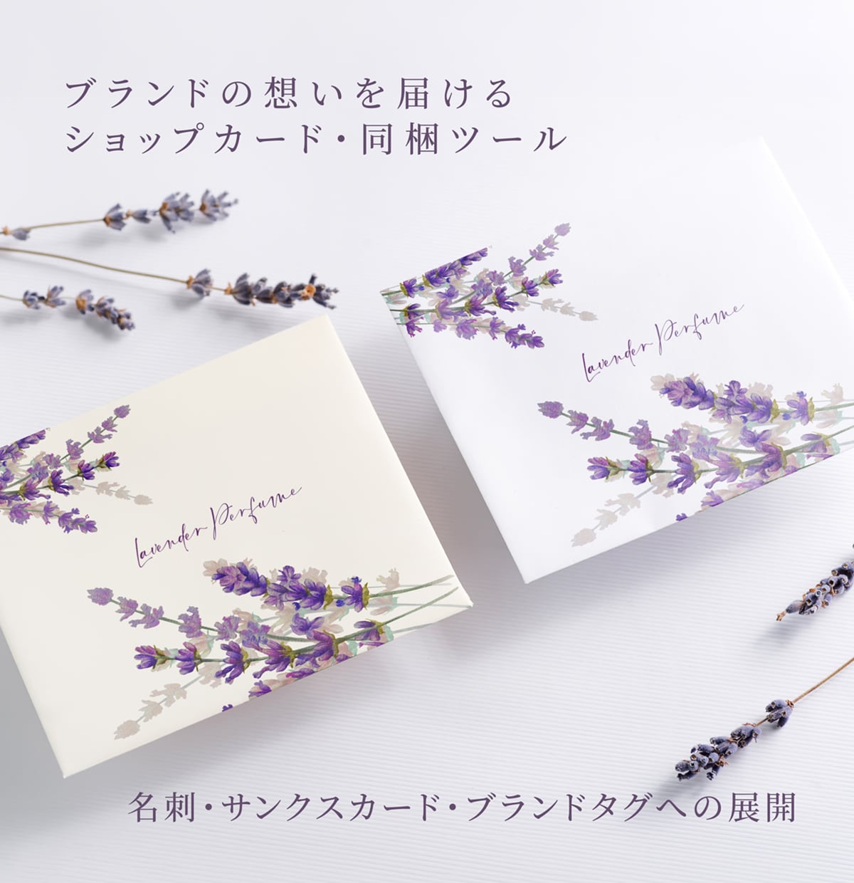 コスメ・サプリ・箱・ドリンクラベルデザインします 「一瞬で魅了する」永く愛されるパッケージデザイン イメージ5