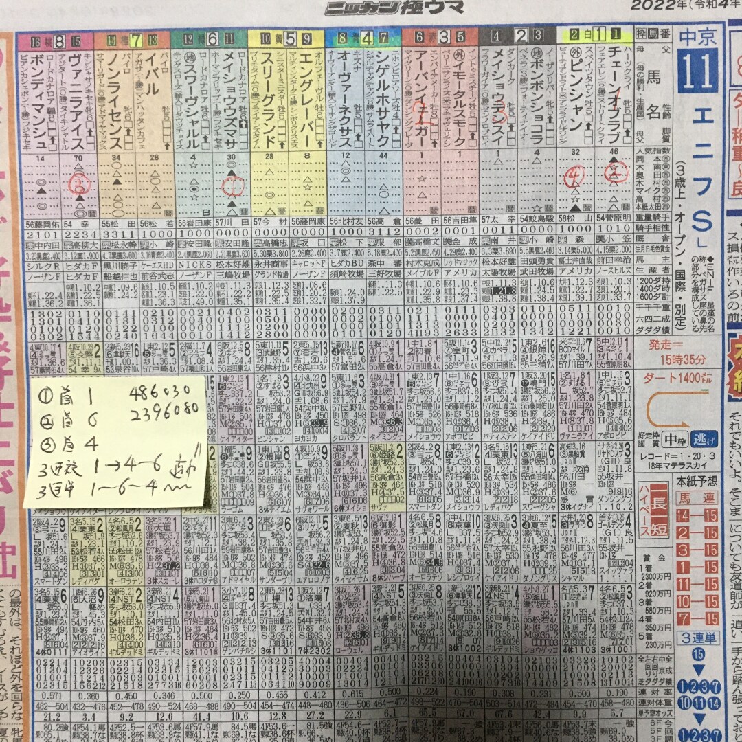 競馬瞬殺！3連単、3連複新投資アイテムを伝授します 軸馬チェックシート付ですので、簡単に軸馬選択。穴馬即決です。 イメージ4
