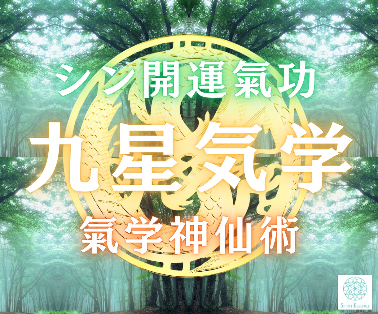 九星気学と開運氣功術で、あなたを幸運体質に導きます 氣の技法と秘伝の占術で、あなたの幸運を整え増幅します イメージ1