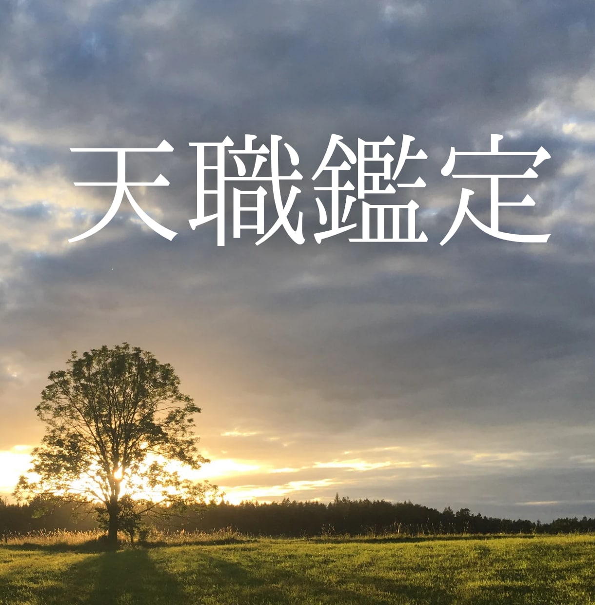 天職鑑定｜”このままでいいのかな？”に答えます 魂の使命×適職×未来の転機を鑑定し、仕事運アップへ導きます イメージ1