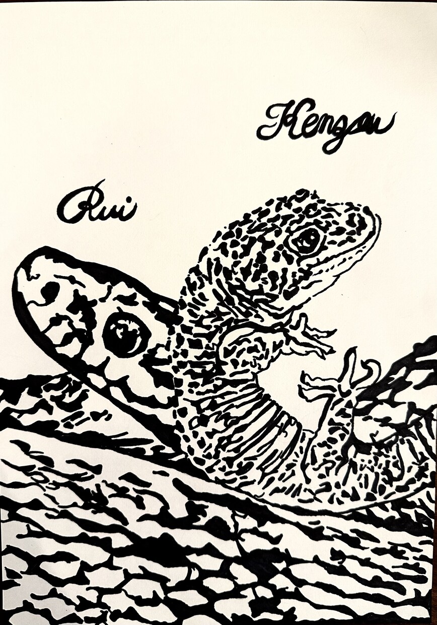大好きなペットをイラスト化⭐︎オシャレに描きます 用途は様々！ご希望の用途をぜひお聞かせくださいませ♪ イメージ3