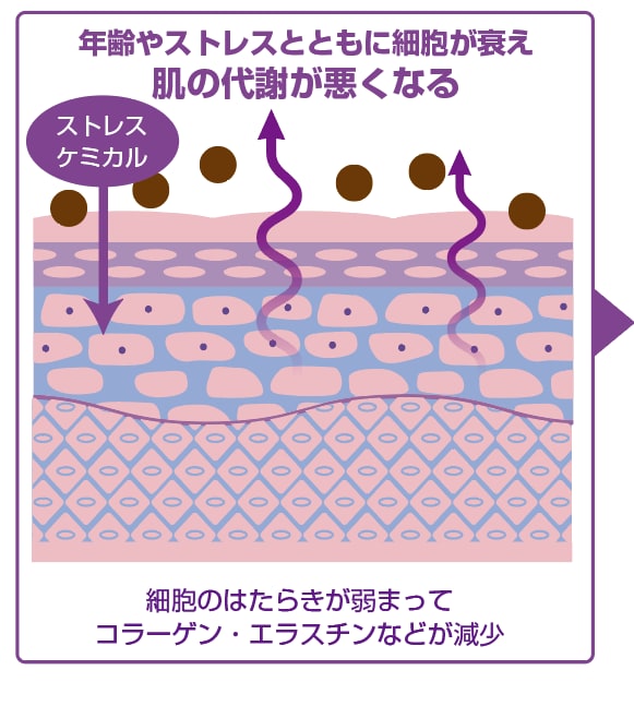 取り扱い説明図や化粧品挿絵を制作します タッチの選べるテクニカルイラストお引き受けします。 イメージ3
