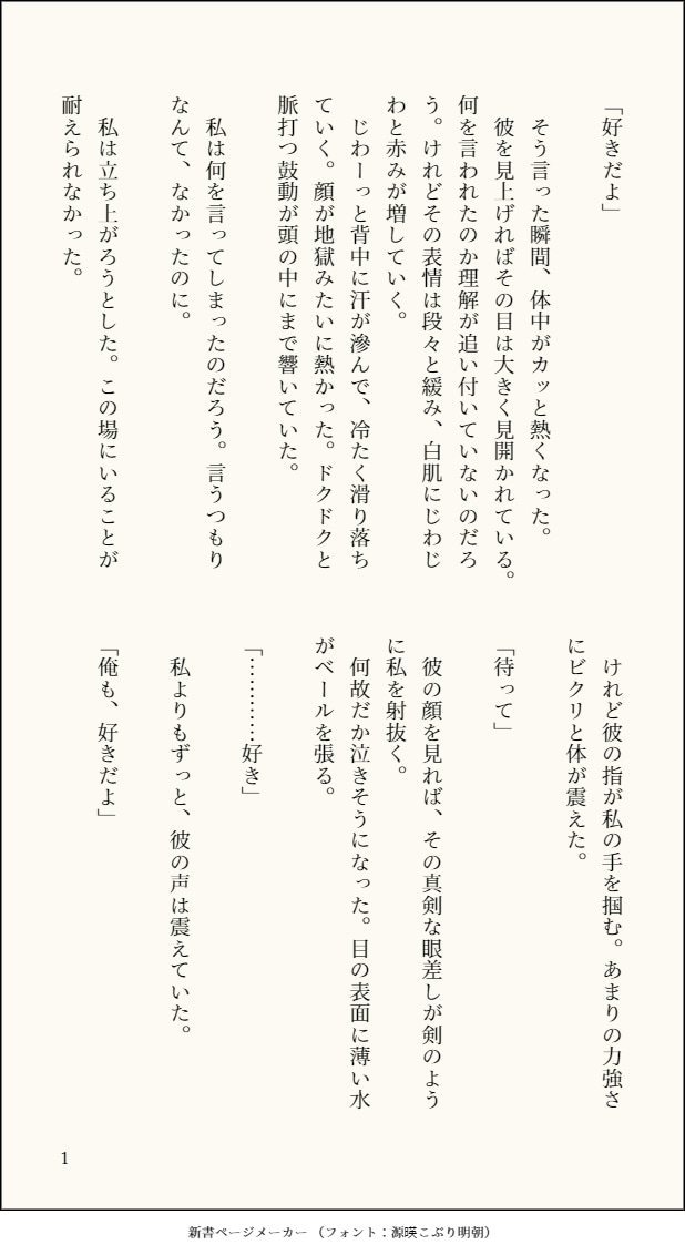 好み100%の小説、お書きします 完全オーダーメイドであなただけの小説が作れる イメージ5