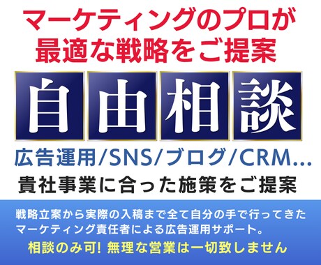 マーケティングのプロが自由相談に乗ります あなたのビジネスに合うマーケティング戦略を構築 イメージ1