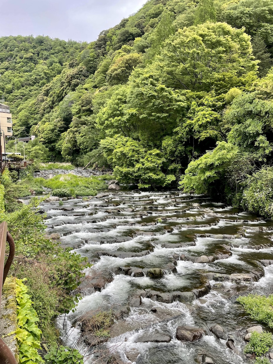 生まれて18年在住 故郷の箱根を特別にガイドします 箱根マスターが旬のトレンドを地元の情報網も活用してご案内！ イメージ2