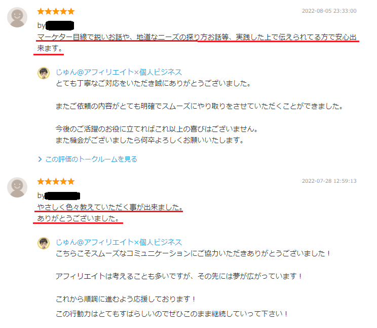 ブログアフィリエイトの通話で個別コンサルをします あなたのアフィリエイトの悩みをズバッと解決してください！ イメージ7