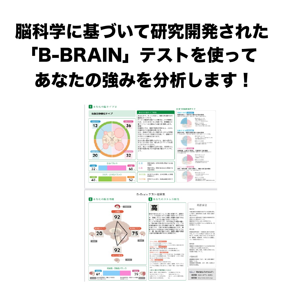 脳タイプ診断であなたの適職をアドバイスします 向いている職種、得意・不得意な仕事、仕事の方向性をアドバイス イメージ4