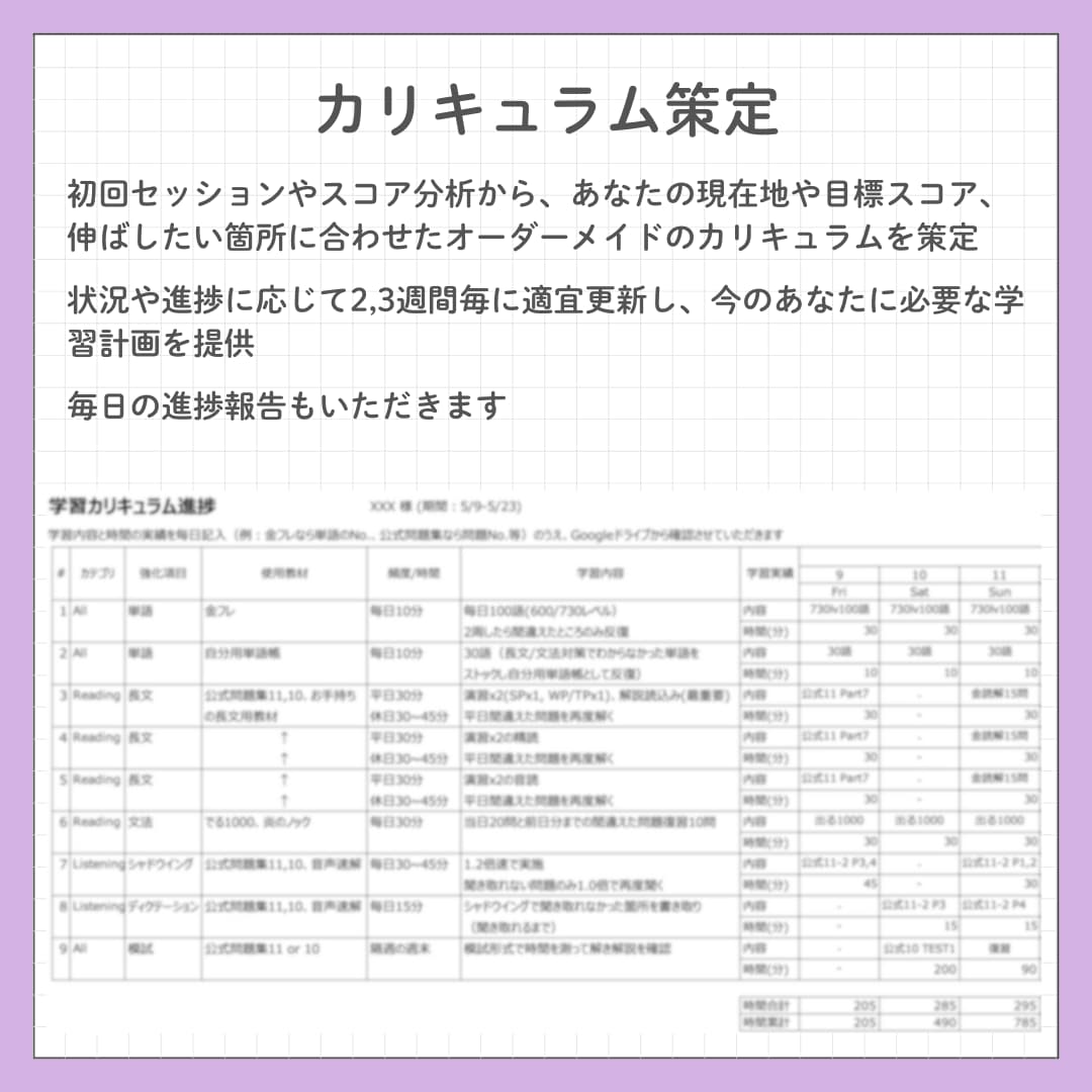 3ヶ月TOEICスコアUPコーチングします TOEICスコアアップで就活/転職/駐在、夢の実現をお手伝い イメージ2
