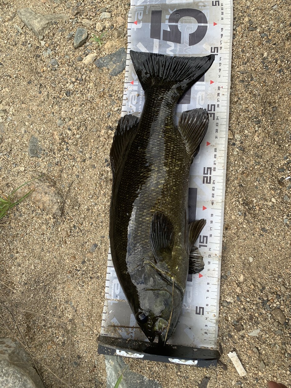 一庫ダムのポイント教えます スモールマウスバスが釣れるポイント教えます！ イメージ1