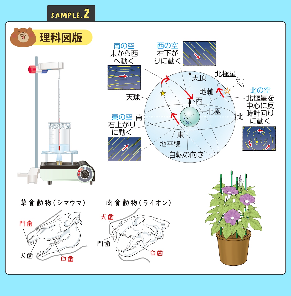 学参教材や理科図版、医療系イラストなど承ります リアルからかわいいまで正確でわかりやすい図版を作成します！ イメージ3