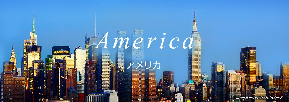 アメリカ5日間★までご相談・旅行プラン手伝います 現地在住、現役旅行プランナーがあなたの旅のお手伝いします☆ イメージ1