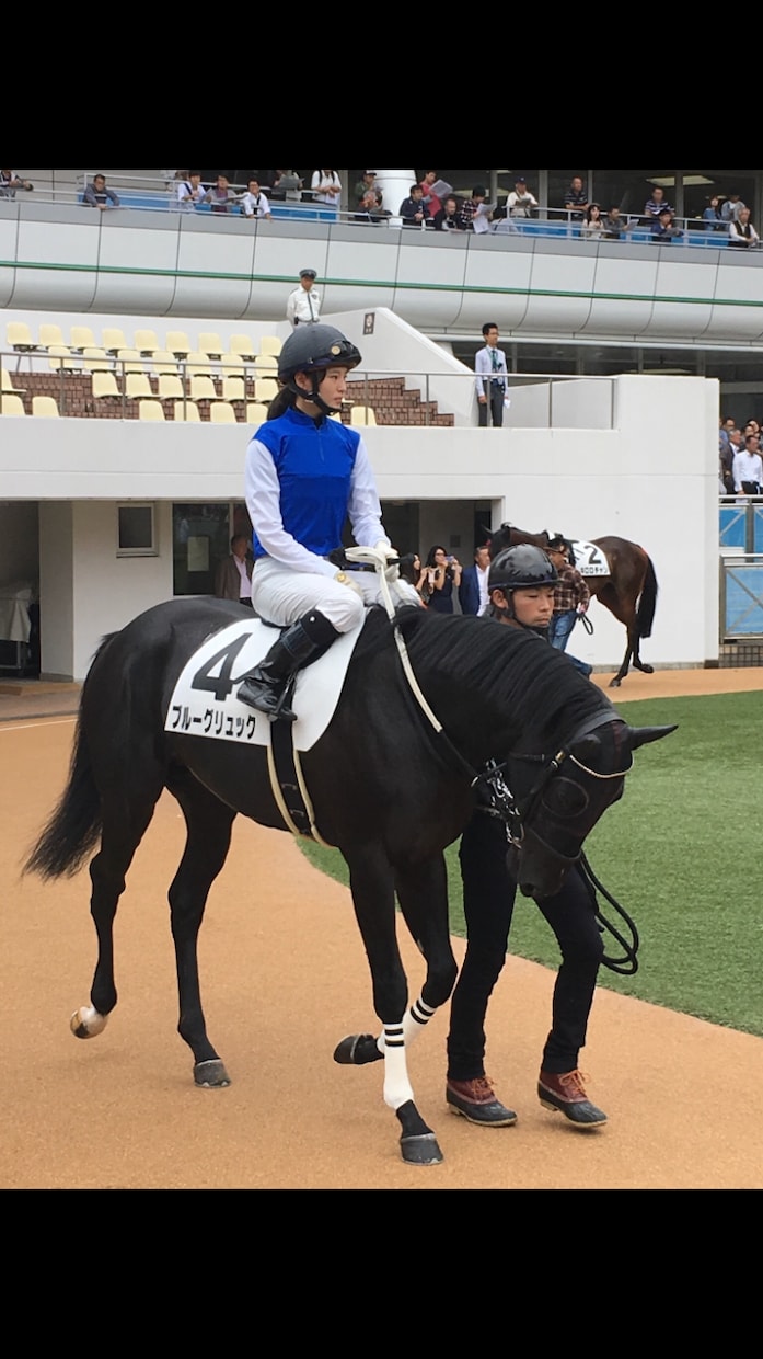 競馬教えます 無駄な買い方してませんか？プラス収支にしましょう！ イメージ3