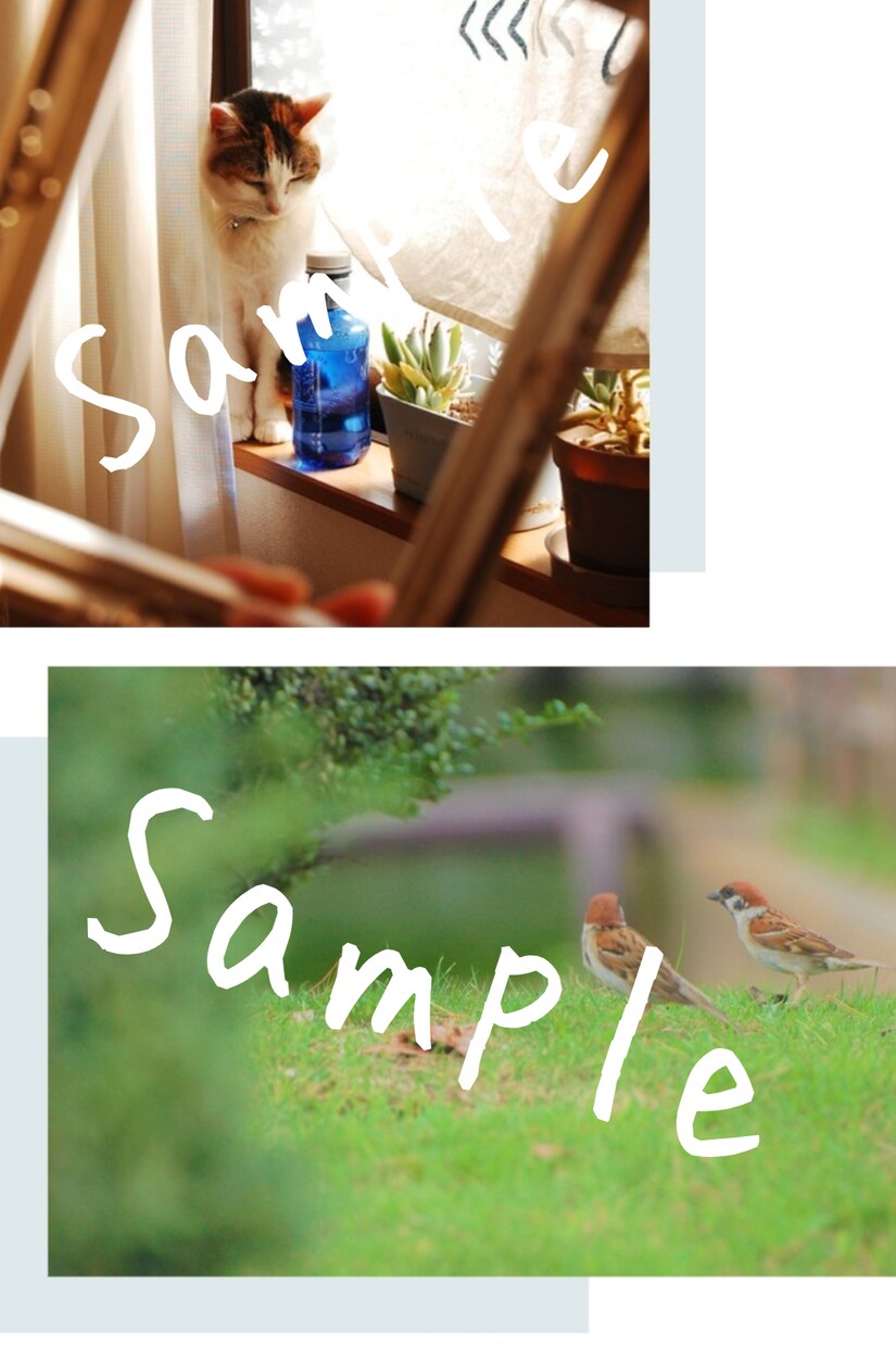 動物や自然の写真を提供します ご希望の写真のイメージを教えてください。 イメージ2