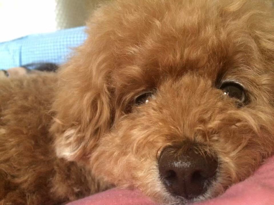 １曲まるまるギター録音します ゼロから１曲まるまるギター録音します。 イメージ1